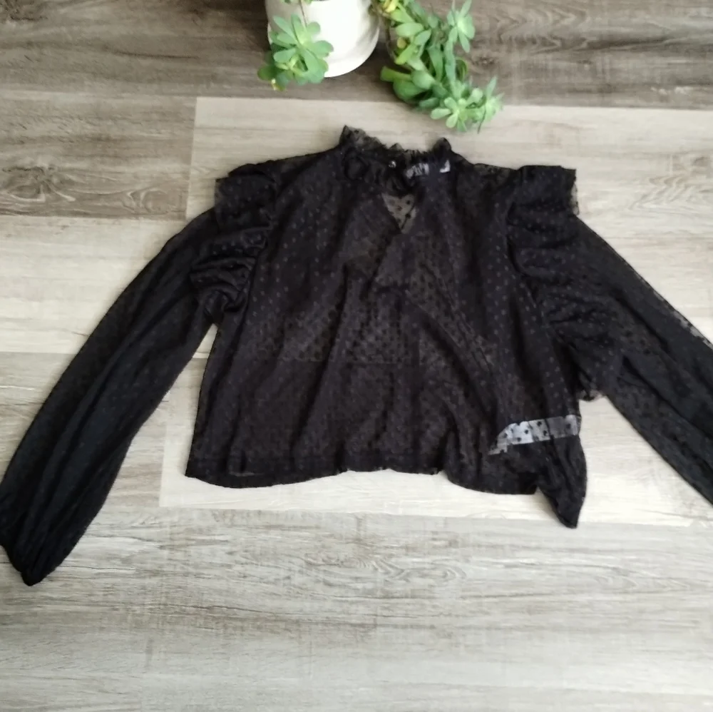 Zara Sheer Black Ruffled Blouse Large